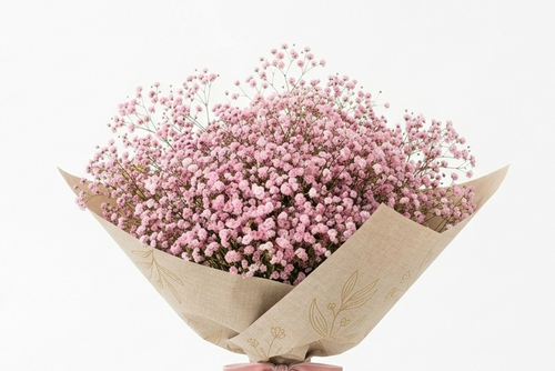 זר גיבסניות ורודות