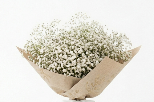 זר גיבסניות לבנות