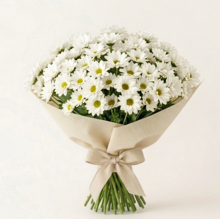זר חרציות לבנות