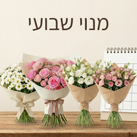 כל שבוע למשך - 4 שבועות