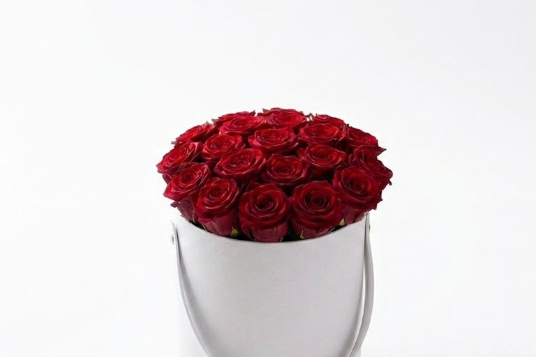 Box of red roses